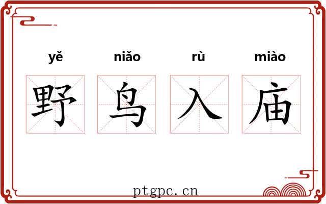 野鸟入庙