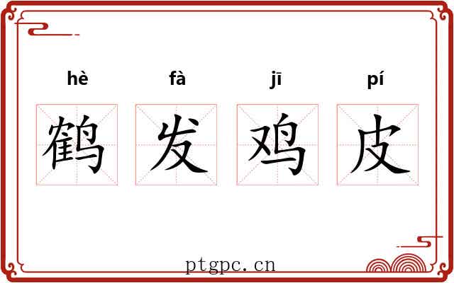 鹤发鸡皮