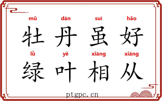 牡丹虽好，绿叶相从