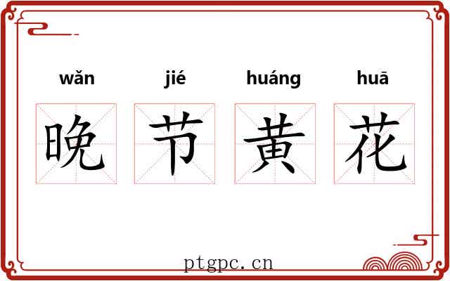 晚节黄花