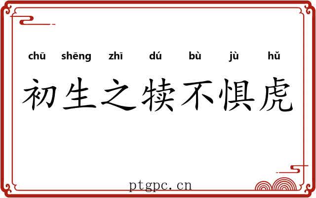 初生之犊不惧虎