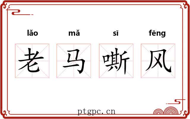 老马嘶风