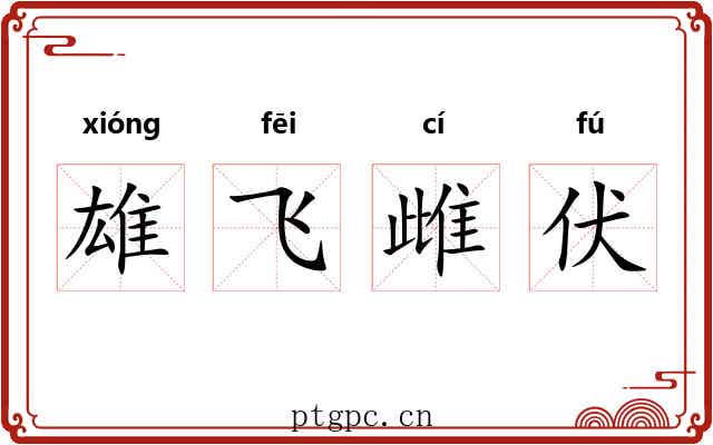 雄飞雌伏