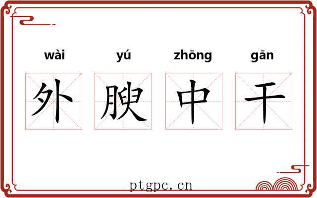 外腴中干