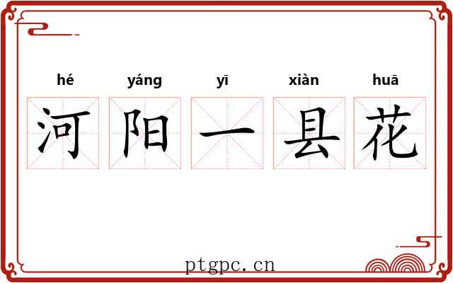 河阳一县花