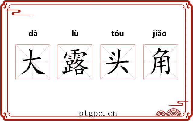 大露头角