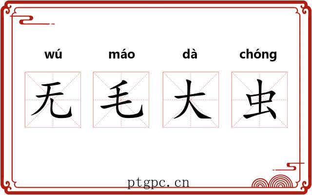 无毛大虫