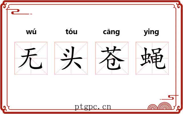 无头苍蝇