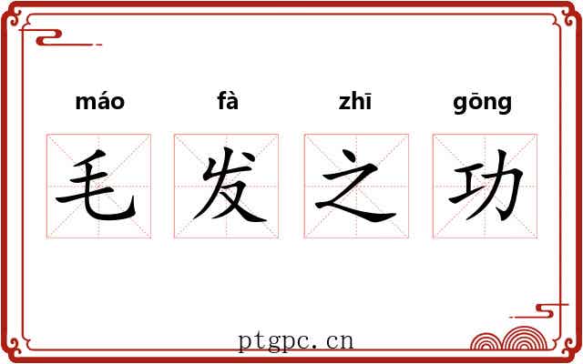 毛发之功