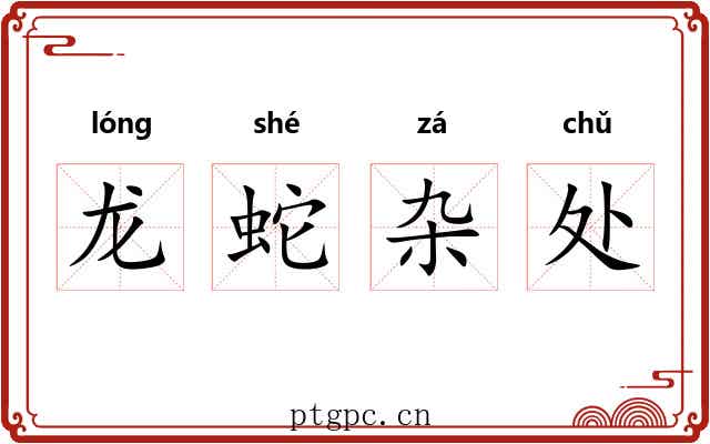 龙蛇杂处