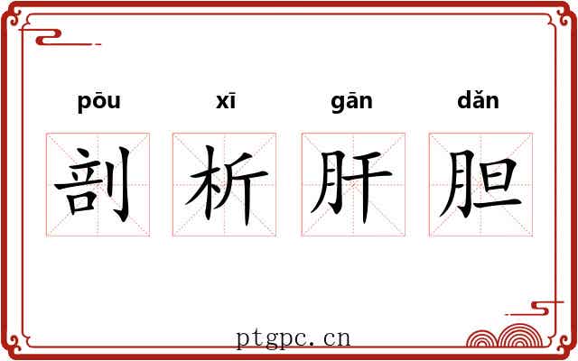 剖析肝胆