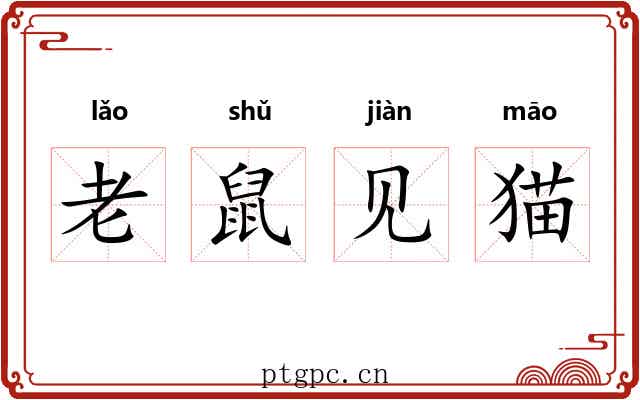老鼠见猫