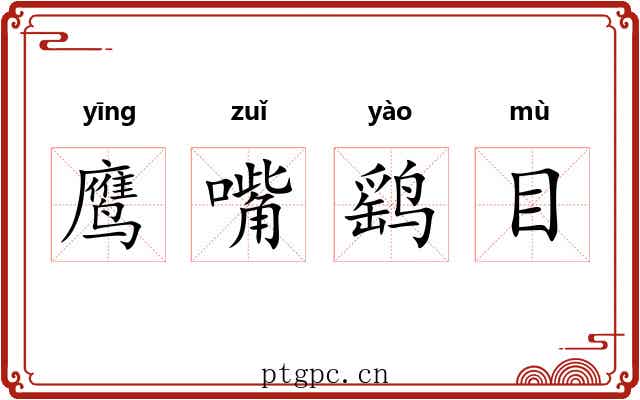 鹰嘴鹞目