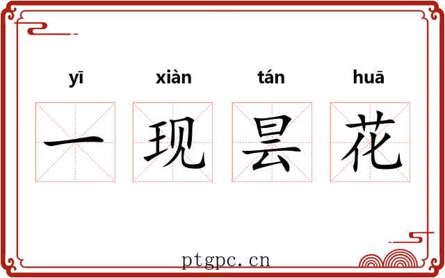 一现昙花