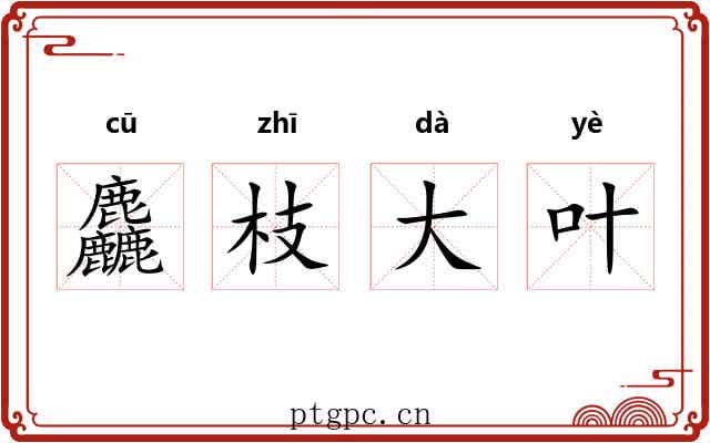 麤枝大叶