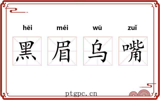 黑眉乌嘴
