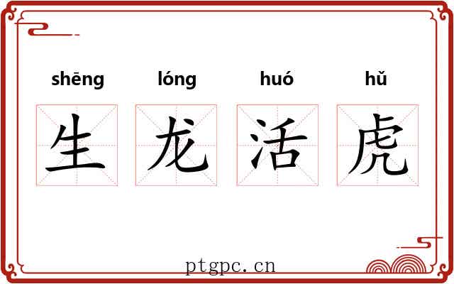 生龙活虎
