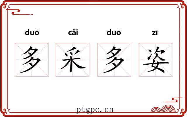 多采多姿