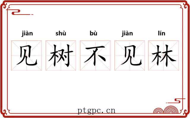 见树不见林