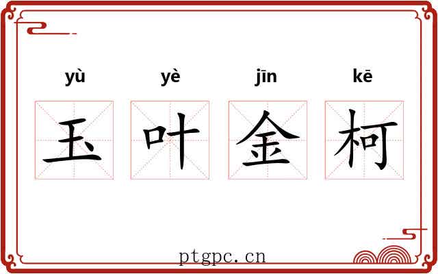 玉叶金柯
