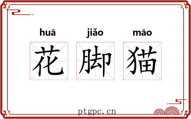 花脚猫