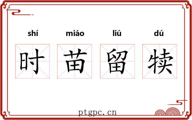 时苗留犊