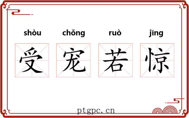 受宠若惊