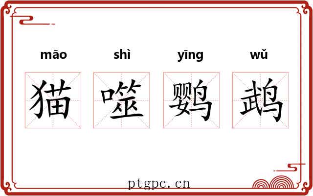 猫噬鹦鹉