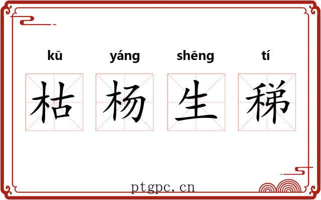 枯杨生稊