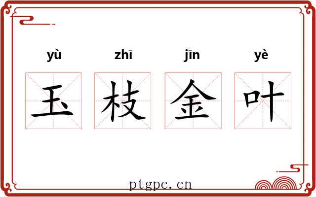 玉枝金叶