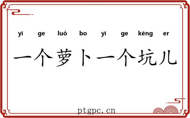 一个萝卜一个坑儿