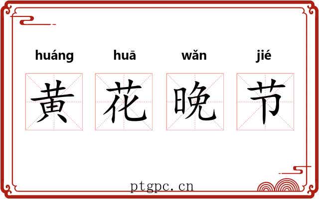 黄花晚节