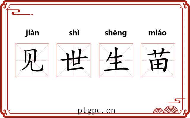 见世生苗