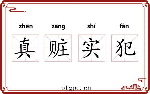 真赃实犯