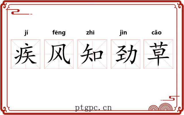 疾风知劲草