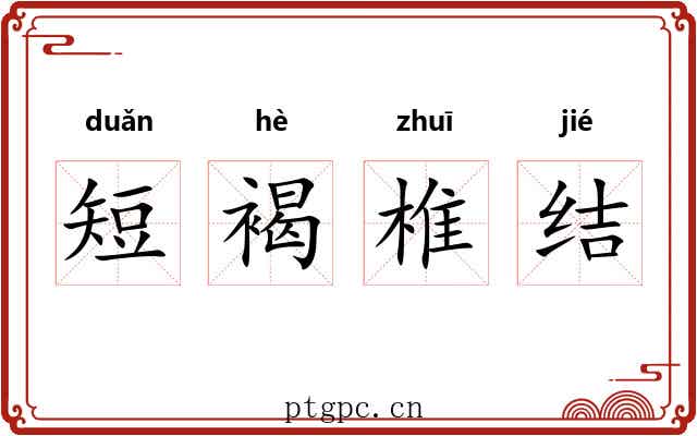 短褐椎结