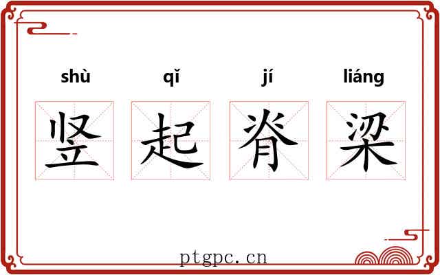 竖起脊梁