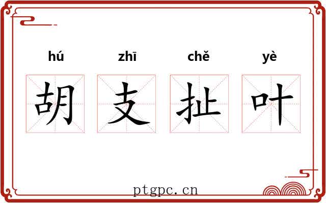 胡支扯叶