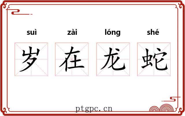 岁在龙蛇