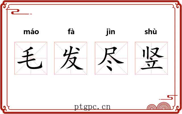 毛发尽竖