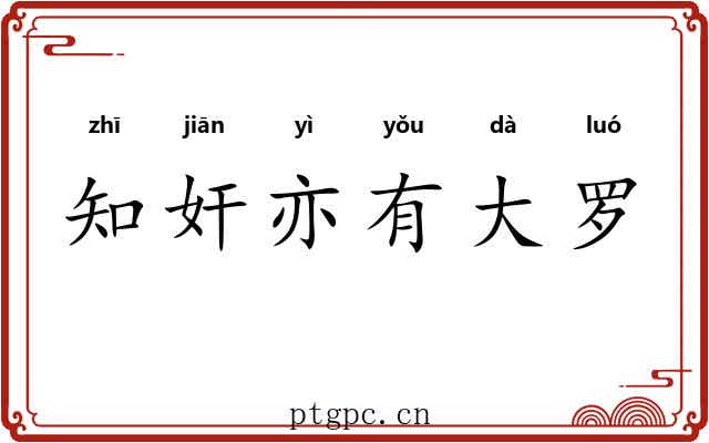 知奸亦有大罗