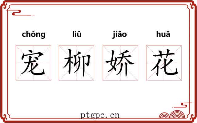 宠柳娇花