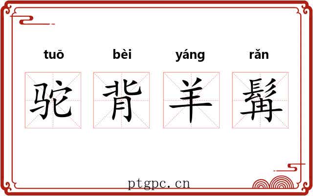 驼背羊髯