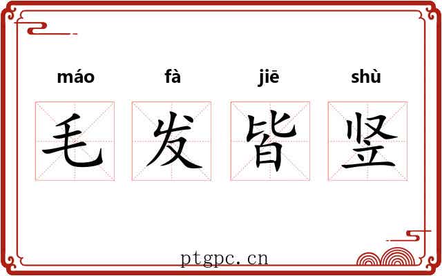 毛发皆竖