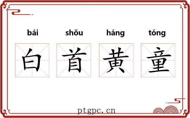 白首黄童