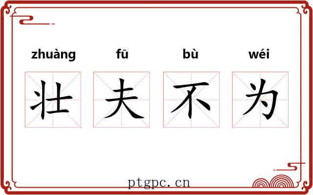 壮夫不为