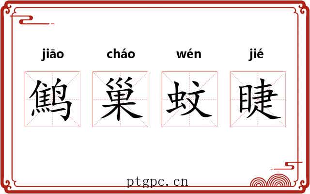 鹪巢蚊睫