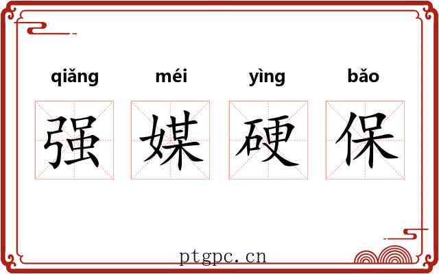 强媒硬保