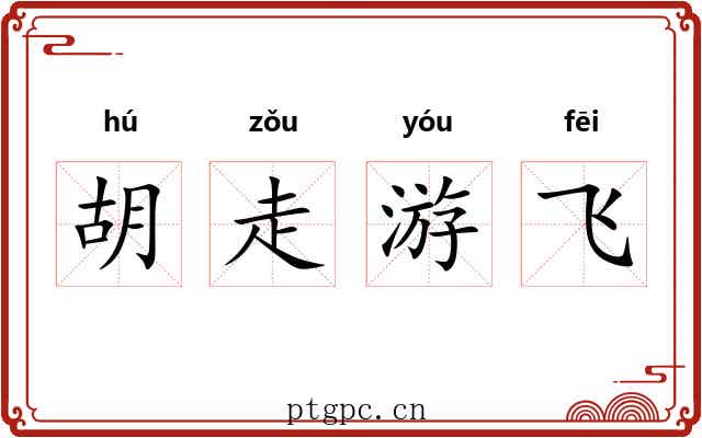 胡走游飞