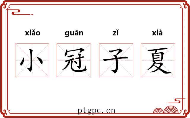 小冠子夏